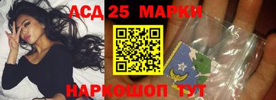гашик Будённовск