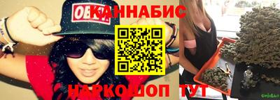 гашик Будённовск