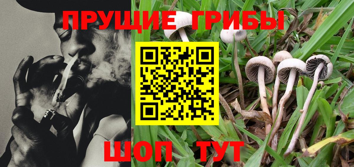 Галлюциногенные грибы MAGIC MUSHROOMS  Вход с VPN  Южно-Сахалинск  Галлюциногенные грибы Psilocybine cubensis 
