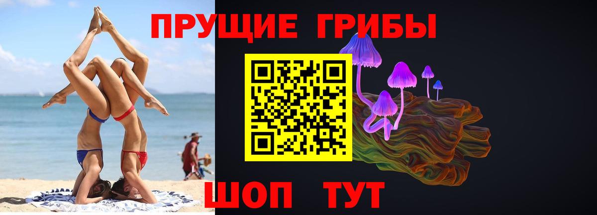 Галлюциногенные грибы мухоморы Южно-Сахалинск